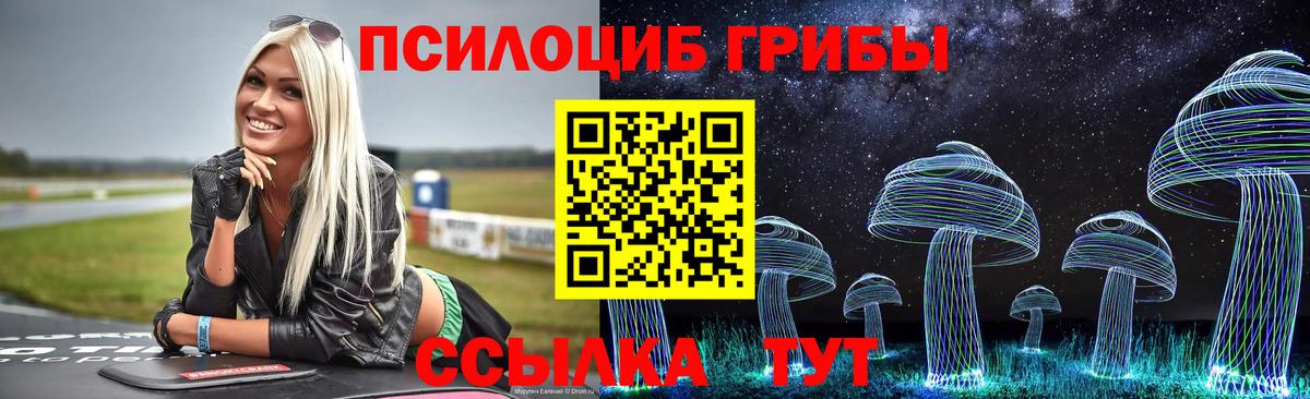 Черняховск  Галлюциногенные грибы MAGIC MUSHROOMS  Вход с VPN 
