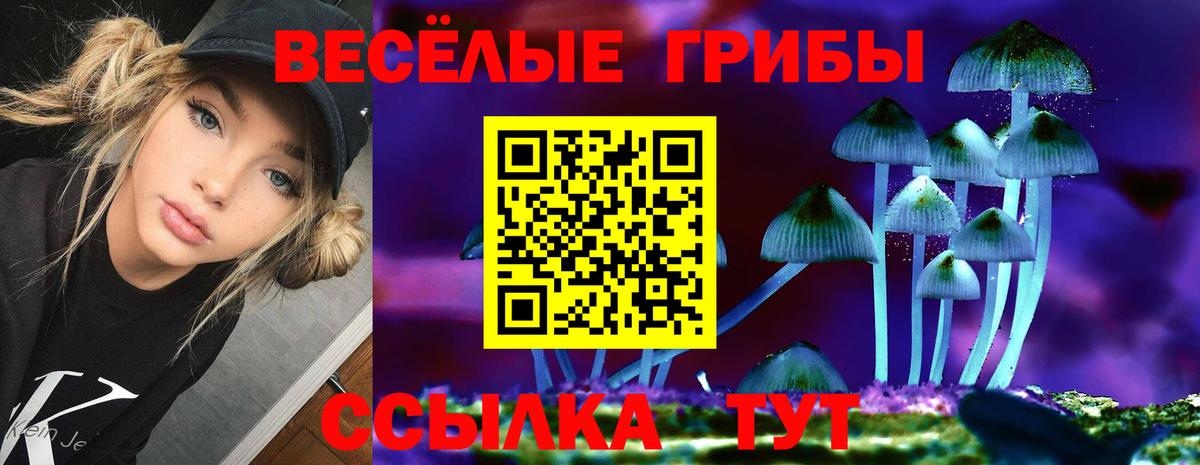 Псилоцибиновые грибы Cubensis Черняховск